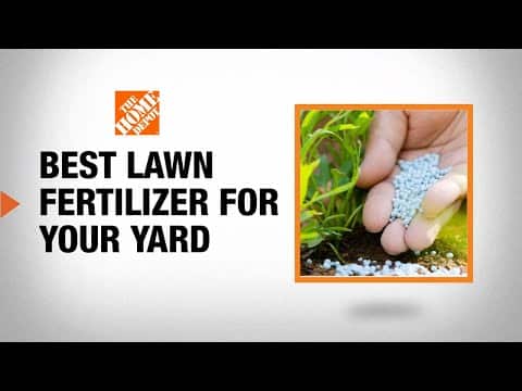 Perfect Lawn Care Tips