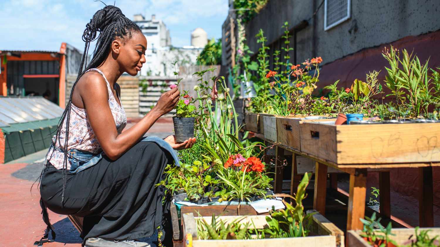 Rooftop Vegetable Gardening Ideas