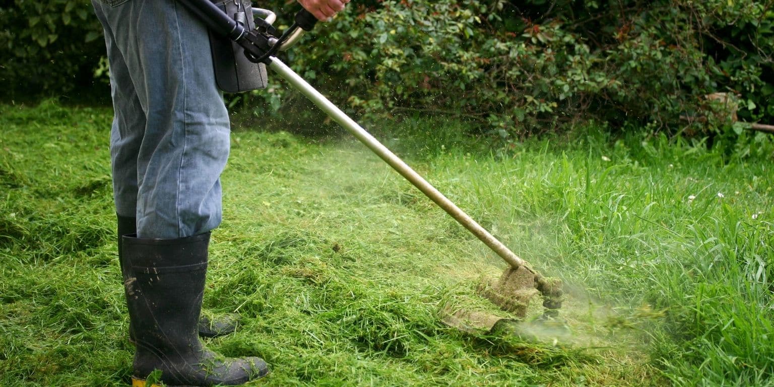weed control for lawns